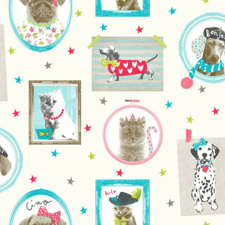 Dog cat picture frame wallpaper - a picture frame free wallpaper