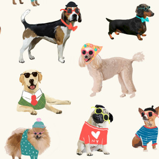 Dogs fashion accessories heart collar - naive free wallpaper