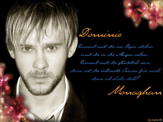 Bearded man suit flower poster - a beard and a suit free wallpaper