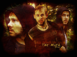 Men standing forest trees group - a group of men free wallpaper