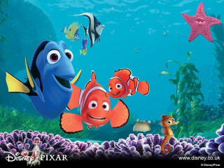 Cartoon character swimming ocean starfish - assemblage free wallpaper