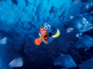 Clown fish surprised swimming blue - neoexpressionism free wallpaper
