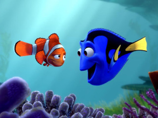 Fish clown ocean swimming together - a scene free wallpaper
