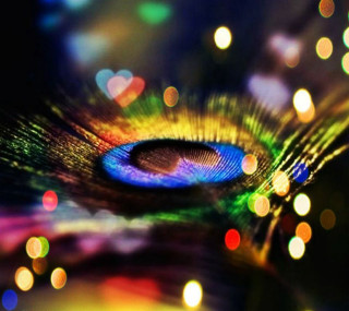 Peacock feather blurry background lights - a blurry background free wallpaper