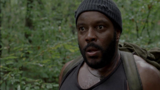 Man beard beanie forest shock - derold page free wallpaper