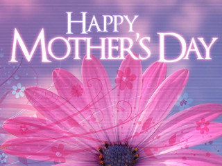 Pink flower happy mothers day - a blue sky background free wallpaper