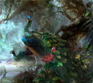 Peacock forest flowers plants nature - its back free wallpaper