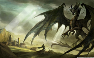 Dragon man field grass rocks - a castle in the background free wallpaper