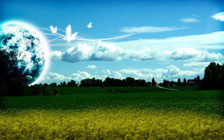 Field blue sky green trees - a green field free wallpaper