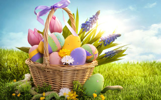 Basket filled eggs green field 2 - egg free wallpaper