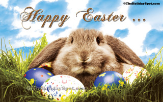 Rabbit grass eggs sky clouds - happy free wallpaper