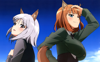 Anime girls white hair long - a cat ear free wallpaper