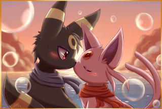 Cat dog kissing bubbles sunset - a cat and a dog free wallpaper