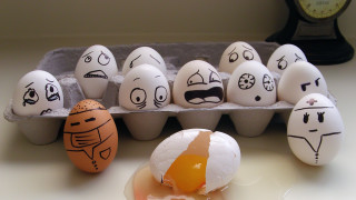 Carton eggs faces drawn broken - art free wallpaper