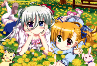 Anime girls dandelions cat dog - nearby free wallpaper