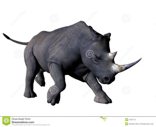 Rhinoceros jumping head down tail - andrew robertson free wallpaper for desktop