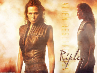 Man woman leather outfits sky - alison kinnaird free wallpaper