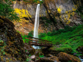 Waterfall bridge forest wooden background - anthony s waters free wallpaper