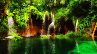 Waterfall forest green water trees - a waterfall in a forest free wallpaper