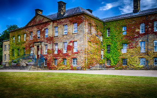 Large building windows ivy grassy - a grassy area in front free wallpaper