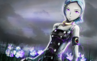 Blue hair girl black dress - a field of flowers free wallpaper