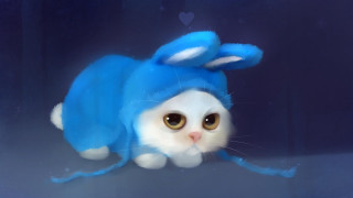Cat blue hat sad looking - a blue hat free wallpaper