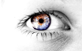 Close up blue brown eye - a close up of a persons eye free wallpaper
