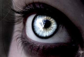 Close up blue eye brown - realistic eye free wallpaper