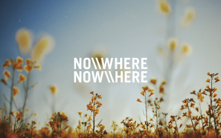 Yellow flowers nowhere now here - anton fadeev free wallpaper