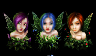 Beautiful women green purple hair - their back free wallpaper