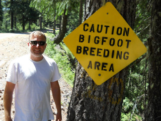 Man standing tree caution sign - footage free wallpaper