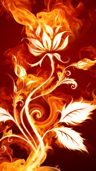 Fire flower swirls leaves battle - a black background photo free wallpaper