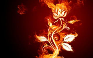 Fire flower swirls leaves black 2 - alison kinnaird free wallpaper