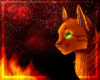 Cat green eyes red frame - alison kinnaird free wallpaper