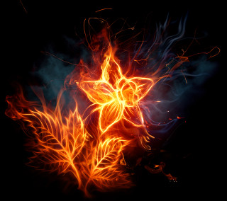 Fire flower glowing dark sky - the dark sky free wallpaper