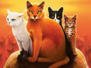 Cats turtle sunset sky group - an album cover free wallpaper