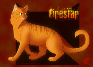 Cartoon cat fire star chest - alison kinnaird free wallpaper