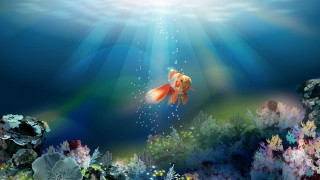 Fish swimming ocean sunbeam seaweed - chiho aoshima free wallpaper
