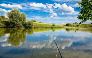 Fishing rod water tree grassy - a fishing rod free wallpaper