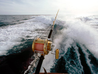 Fishing rod boat reel speeding 2 - a fishing rod free wallpaper