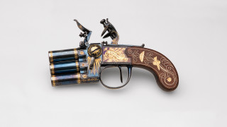 Gun bird case image illustration - a gun free wallpaper for desktop