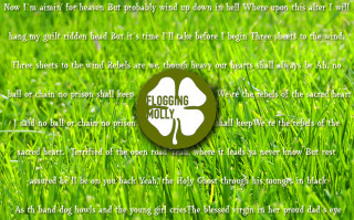 Clover in the grass with - aloysius okelly free wallpaper