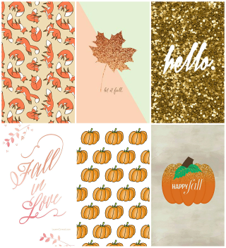 Fall cards collage pumpkins leaves - a poster free wallpaper