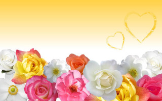 Flowers heart background yellow - araceli gilbert free wallpaper