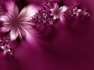 Purple background flowers side white 2 - the top free wallpaper for desktop