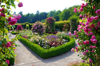 Garden flowers bench bushes nature - betye saar free wallpaper