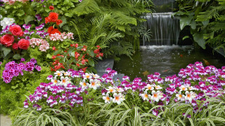 Garden waterfall flowers pond nature - vivid free wallpaper