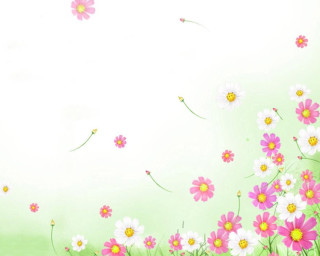 Flower field sky background pink - a field of flowers free wallpaper