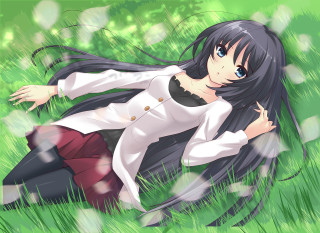 Girl laying grass hair blowing - the ground in a field of grass free wallpaper