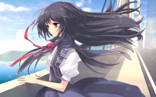 Girl long hair sitting on - flowing hair free wallpaper